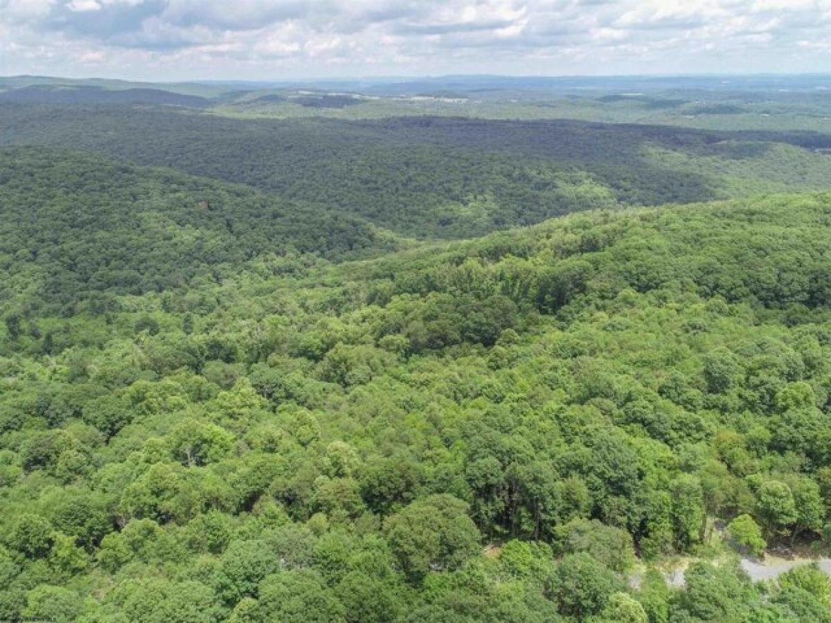 Picture of Residential Land For Sale in Bruceton Mills, West Virginia, United States