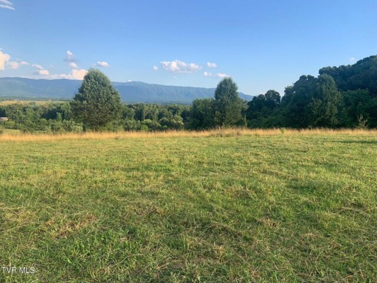 Picture of Residential Land For Sale in Greeneville, Tennessee, United States