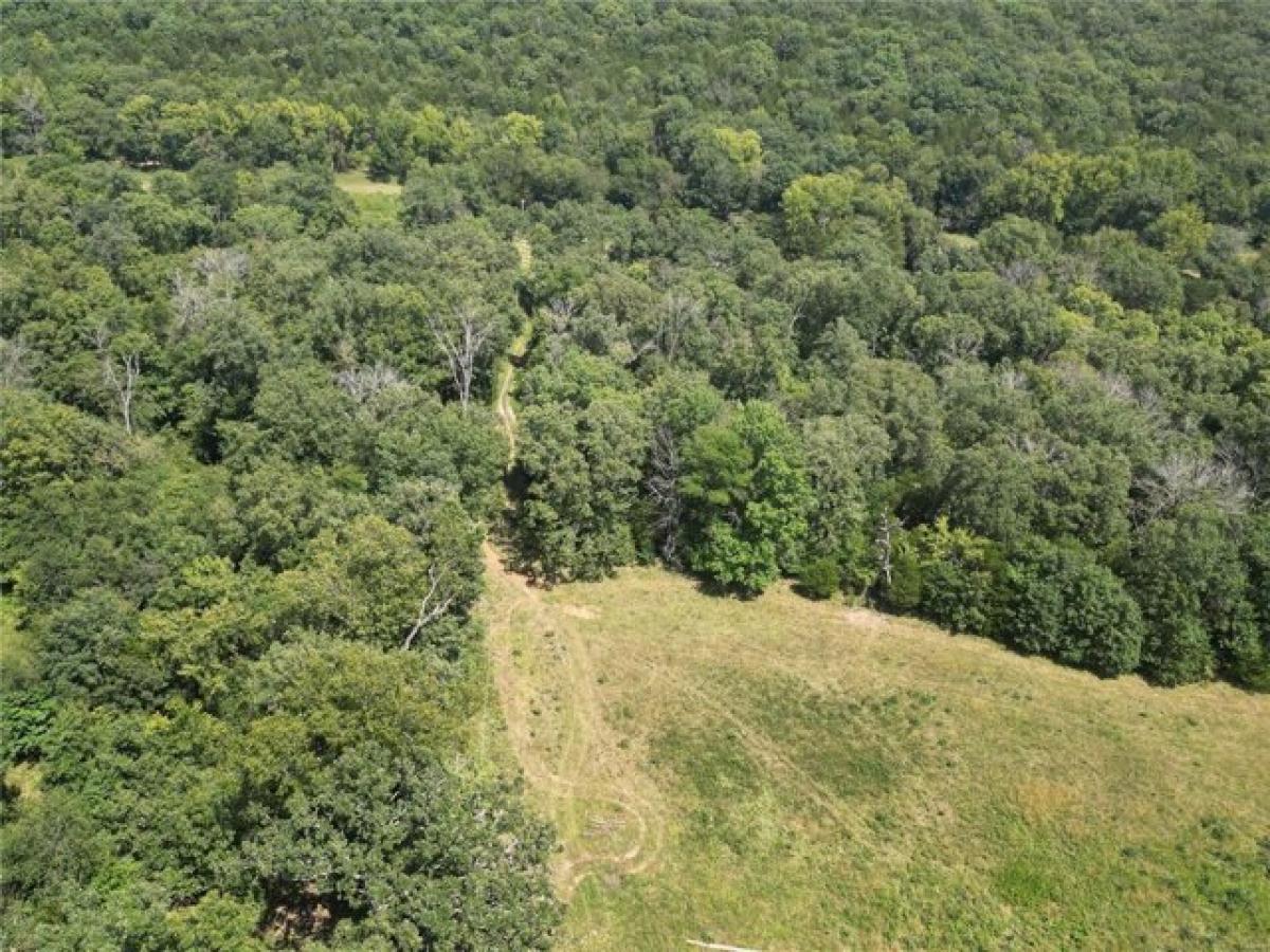 Picture of Residential Land For Sale in Festus, Missouri, United States