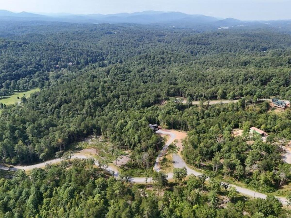 Picture of Residential Land For Sale in Mineral Bluff, Georgia, United States