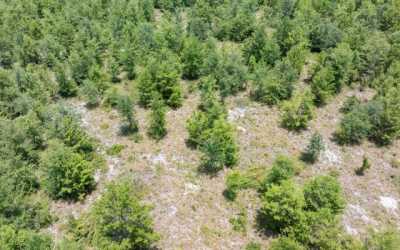 Residential Land For Sale in 