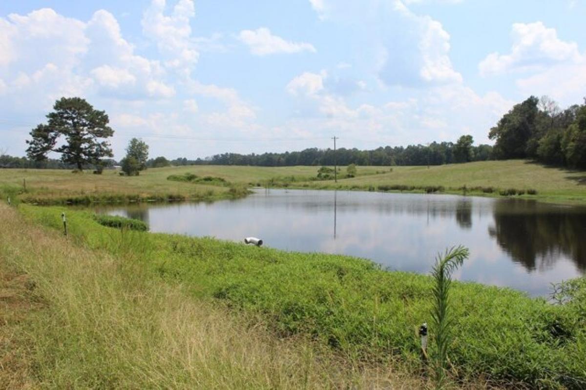 Picture of Home For Sale in Pattison, Mississippi, United States