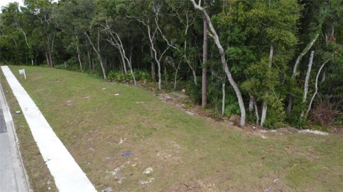 Picture of Residential Land For Sale in Altamonte Springs, Florida, United States