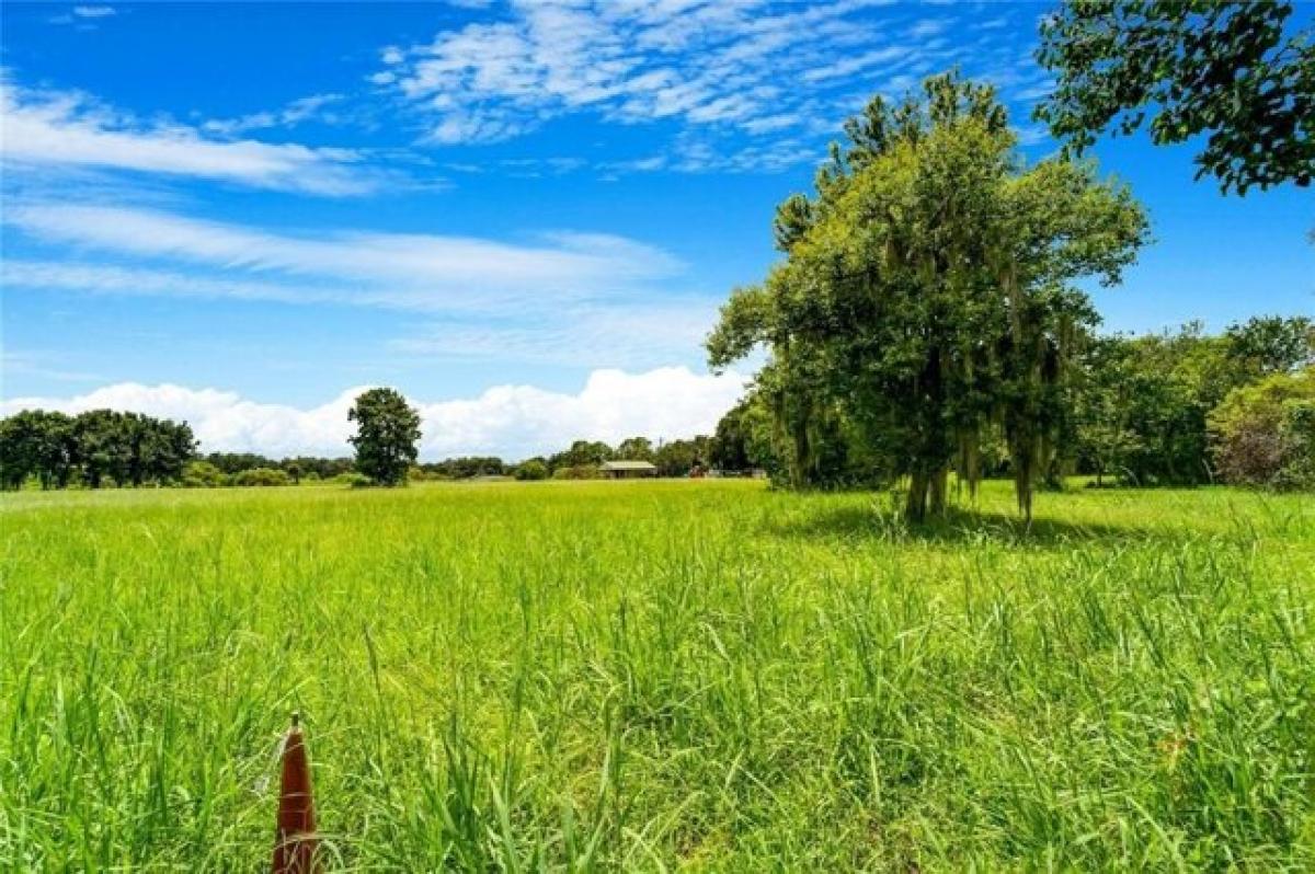 Picture of Residential Land For Sale in Plant City, Florida, United States