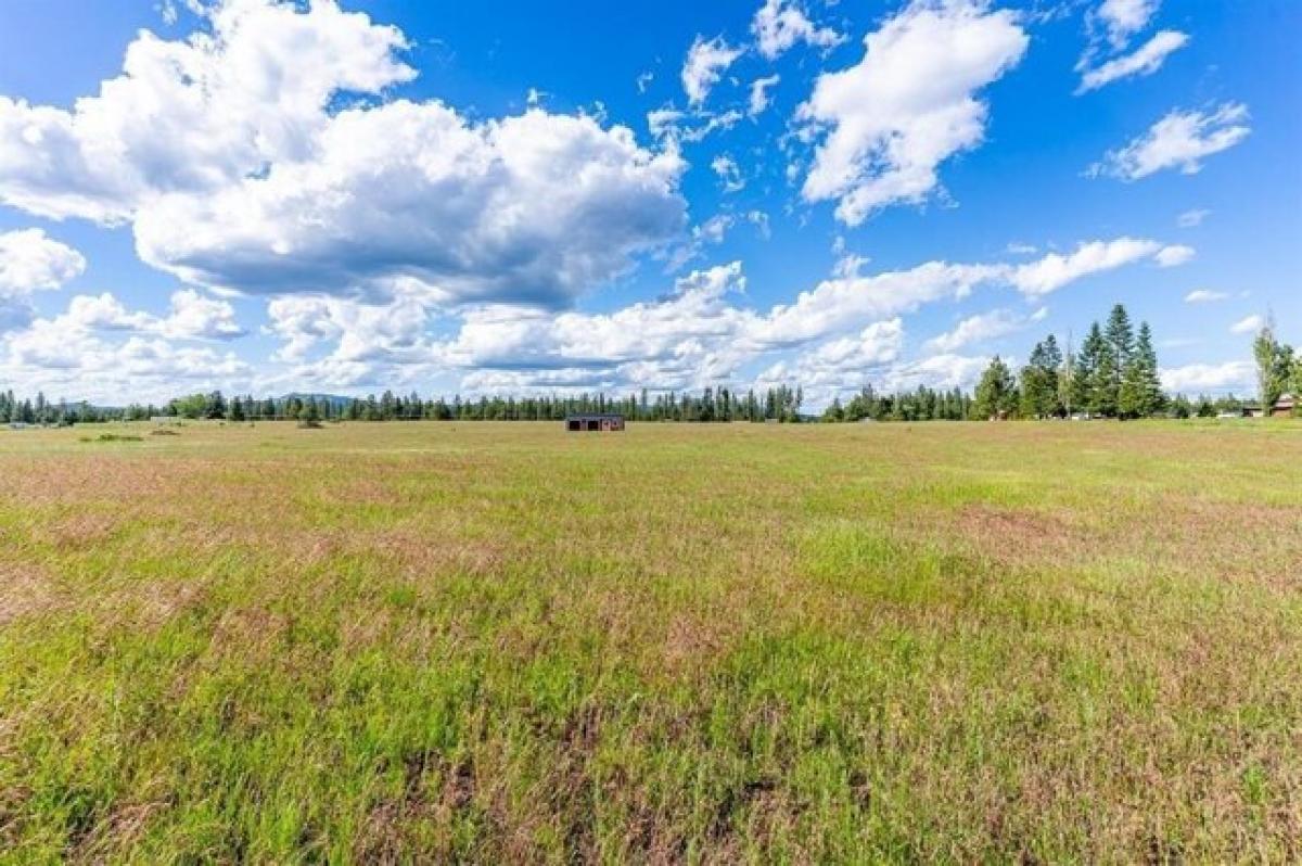 Picture of Residential Land For Sale in Deer Park, Washington, United States