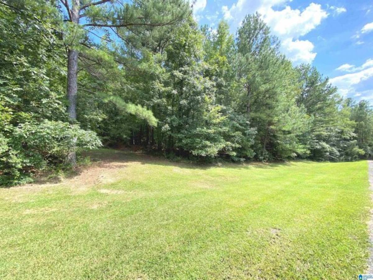 Picture of Residential Land For Sale in Odenville, Alabama, United States