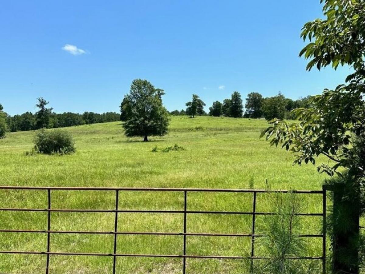 Picture of Residential Land For Sale in Groveton, Texas, United States