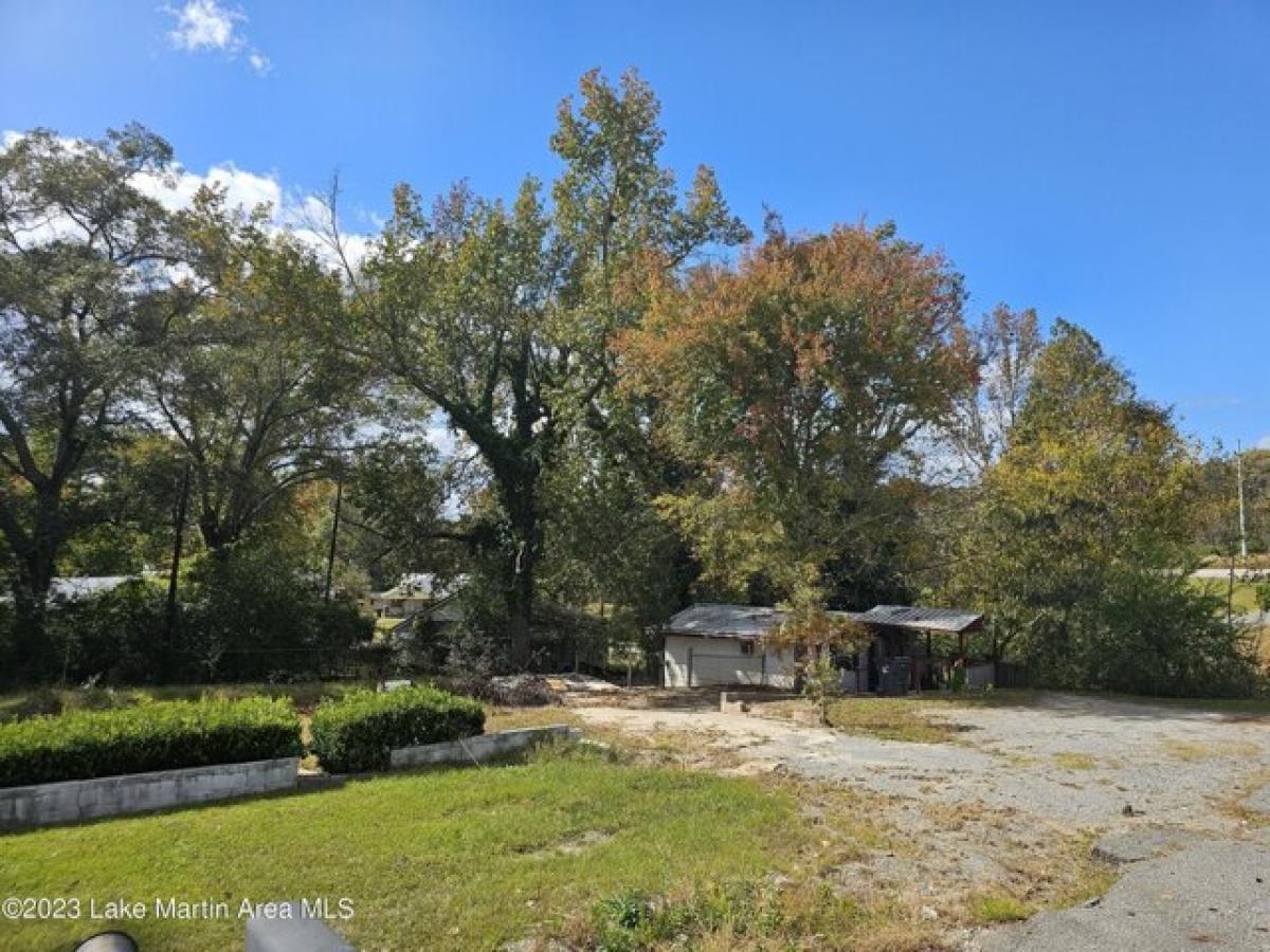 Picture of Residential Land For Sale in Alexander City, Alabama, United States