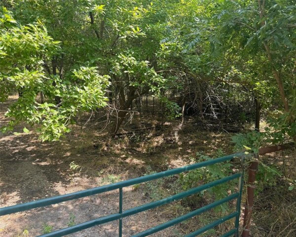 Picture of Residential Land For Sale in Krum, Texas, United States