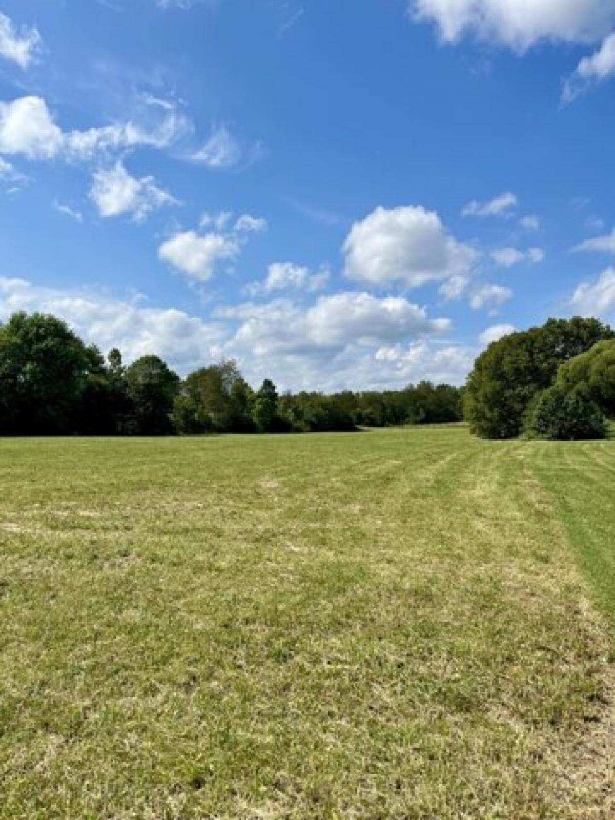 Picture of Residential Land For Sale in Hustonville, Kentucky, United States