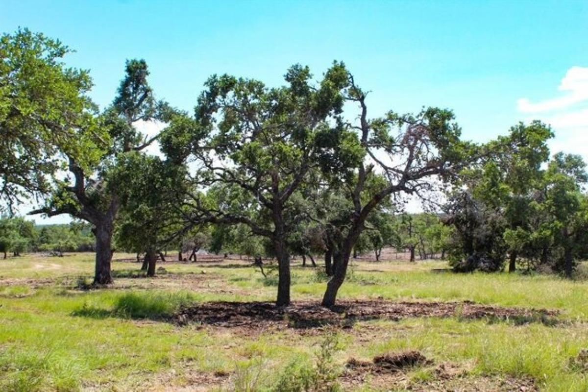 Picture of Residential Land For Sale in Mountain Home, Texas, United States