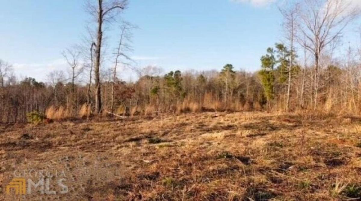 Picture of Residential Land For Sale in Elberton, Georgia, United States