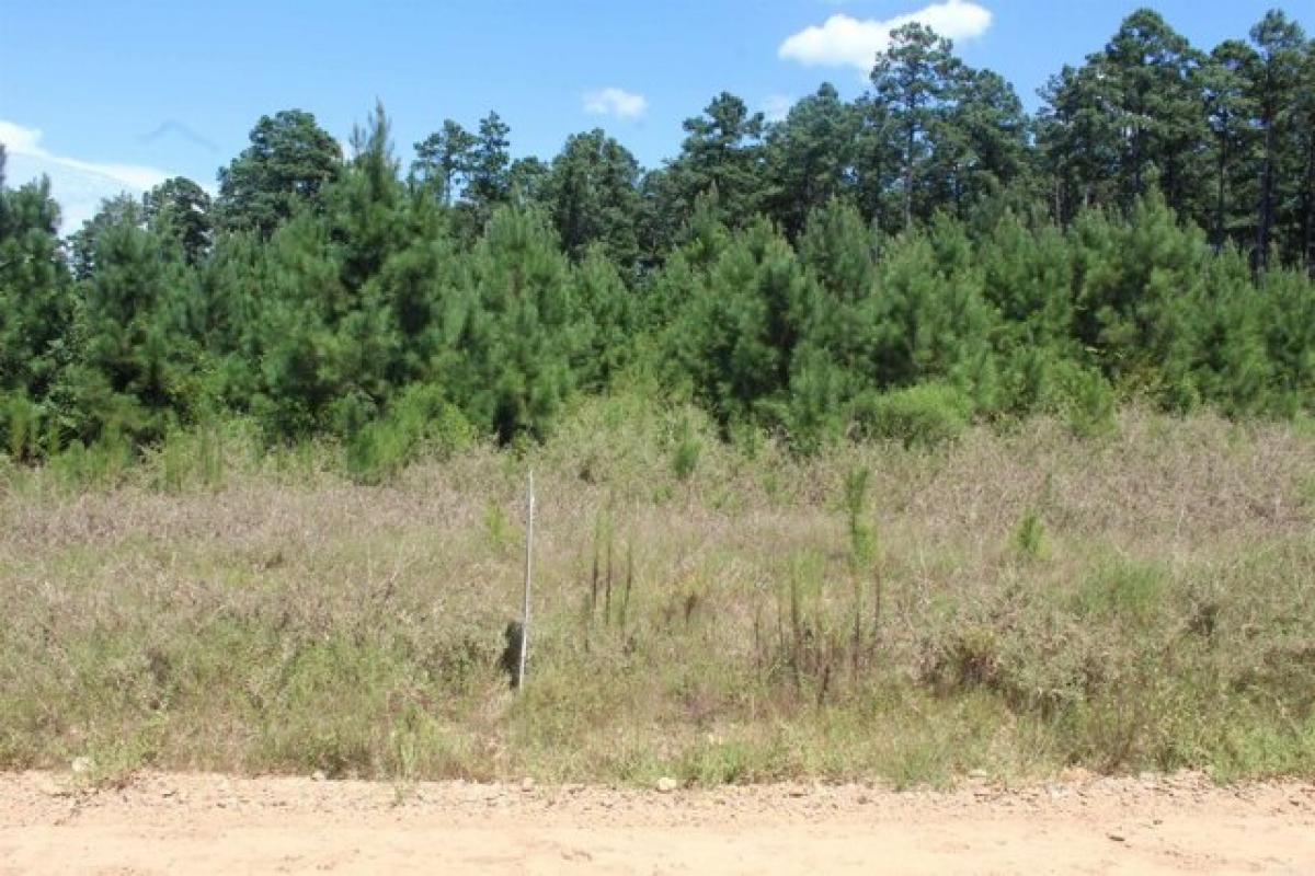 Picture of Residential Land For Sale in Rosston, Arkansas, United States