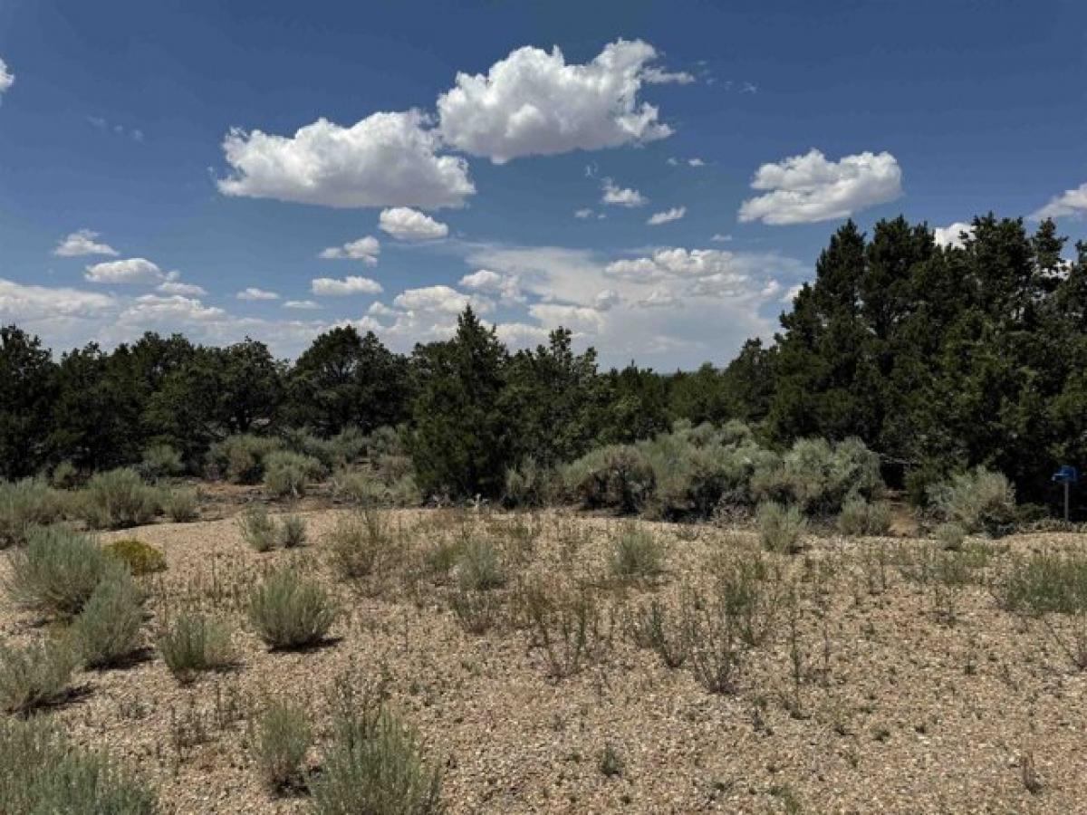 Picture of Residential Land For Sale in Questa, New Mexico, United States