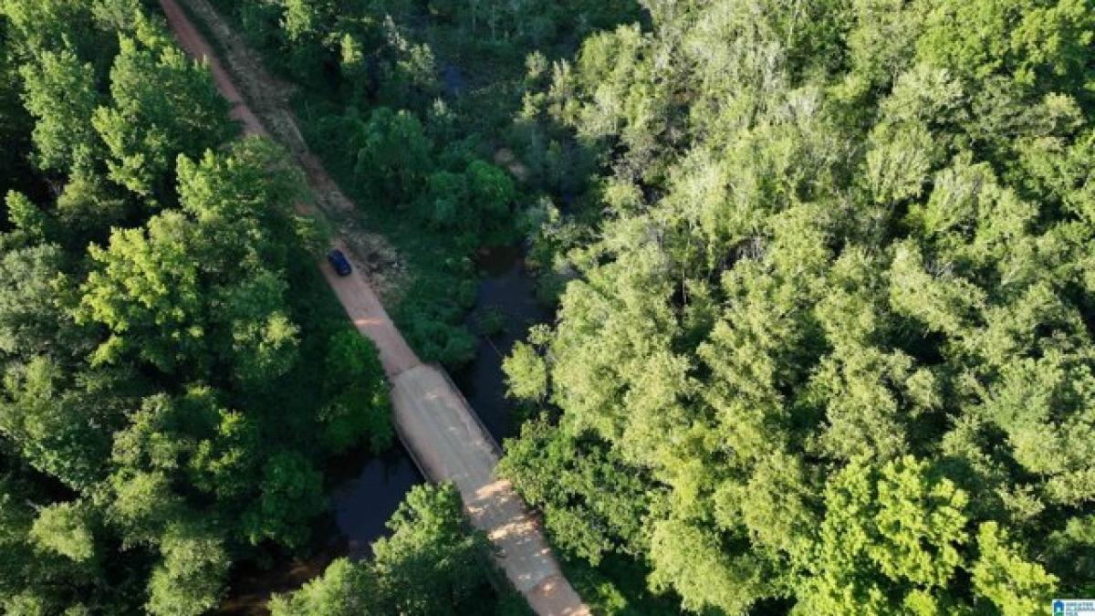 Picture of Residential Land For Sale in Tuskegee, Alabama, United States