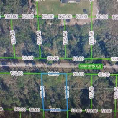 Residential Land For Rent in Lake Placid, Florida