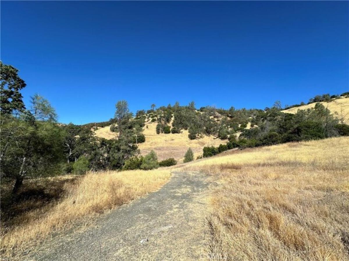 Picture of Residential Land For Sale in Clearlake Oaks, California, United States