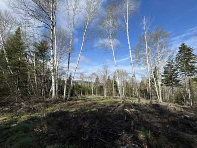 Residential Land For Sale in Sandy River Plt, Maine