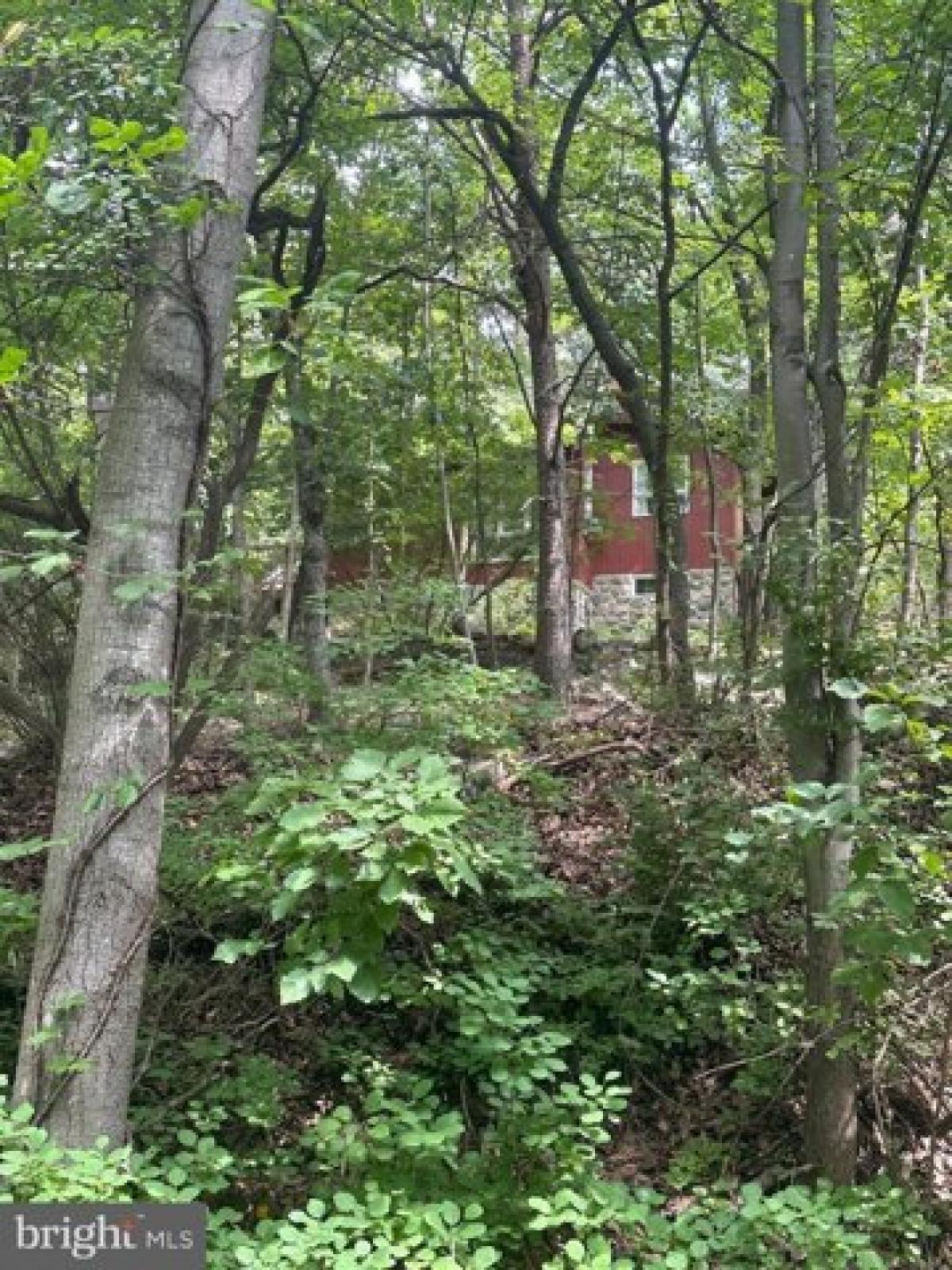 Picture of Home For Sale in Front Royal, Virginia, United States