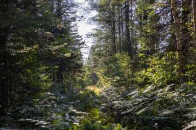 Residential Land For Sale in Engadine, Michigan