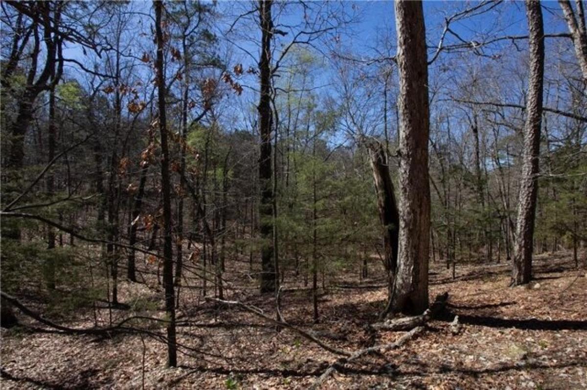 Picture of Residential Land For Sale in Rogers, Arkansas, United States