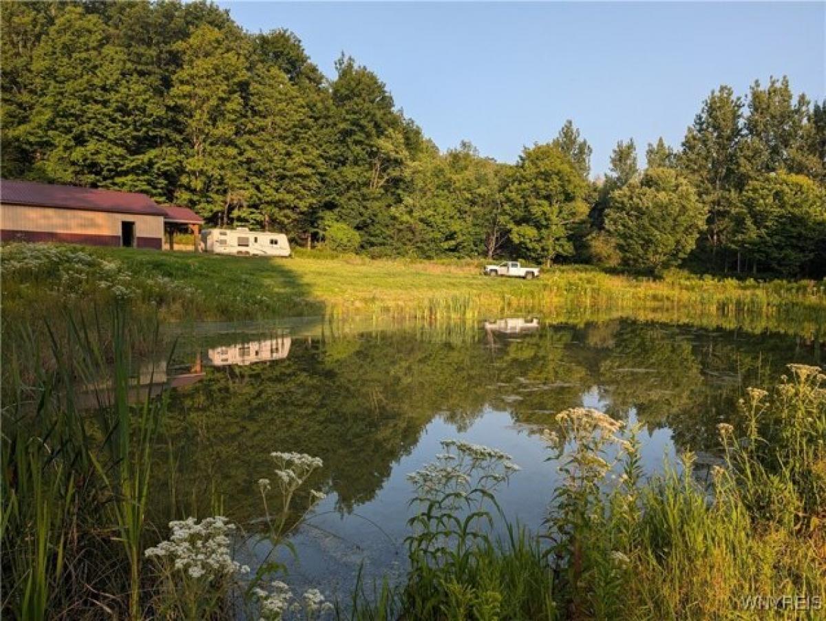 Picture of Residential Land For Sale in West Valley, New York, United States