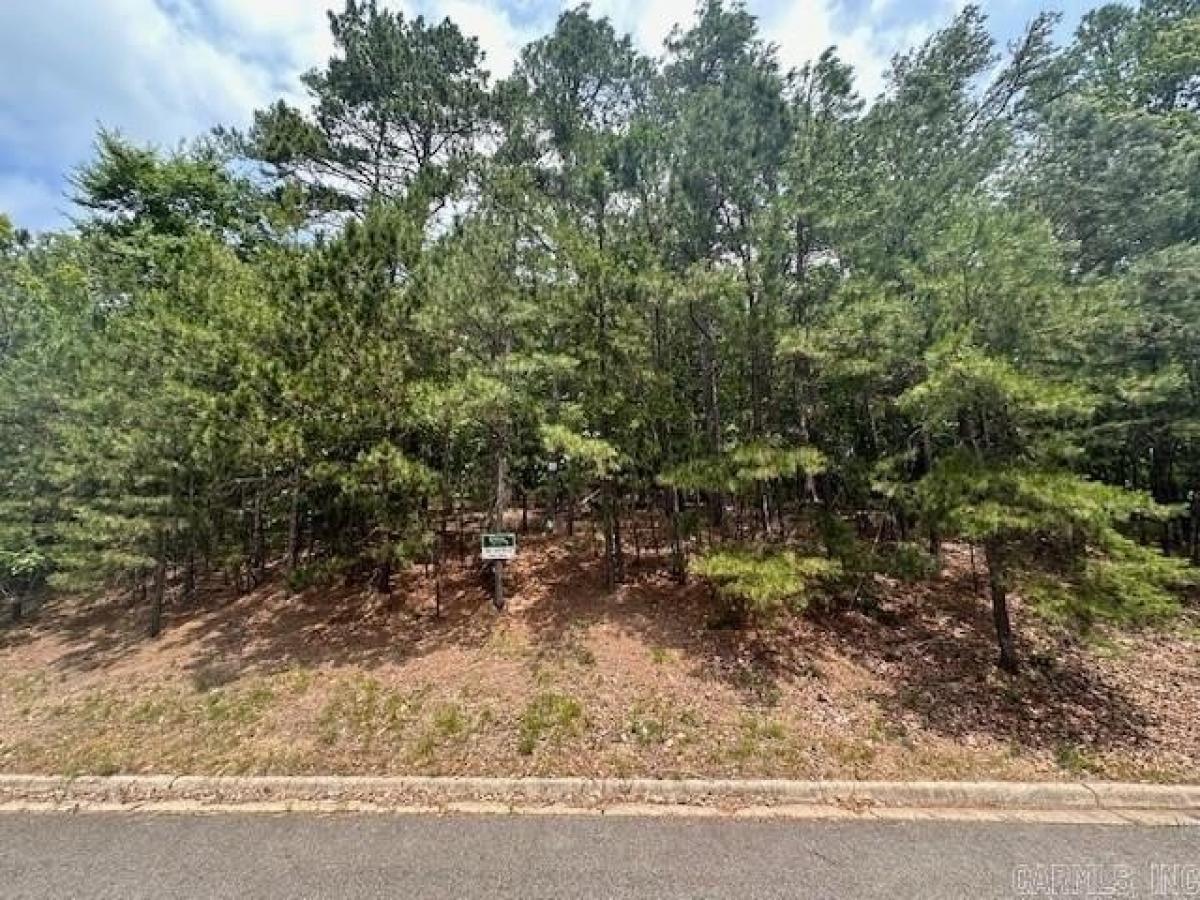 Picture of Residential Land For Sale in Hot Springs, Arkansas, United States