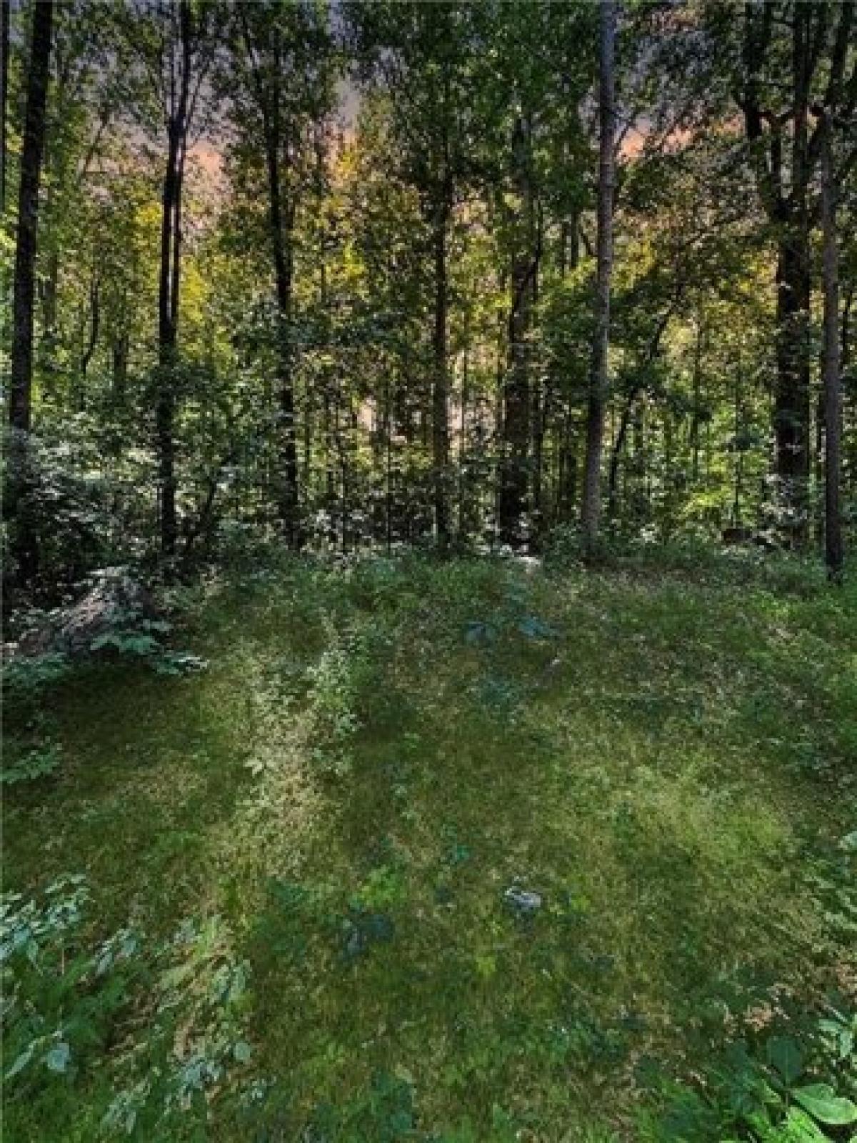 Picture of Residential Land For Sale in Morrow, Georgia, United States