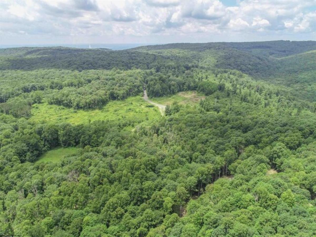 Picture of Residential Land For Sale in Bruceton Mills, West Virginia, United States