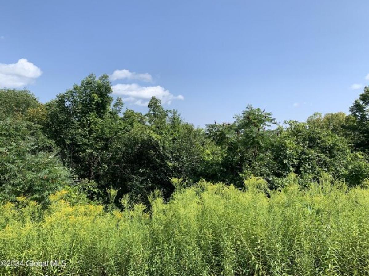 Picture of Residential Land For Sale in Hague, New York, United States