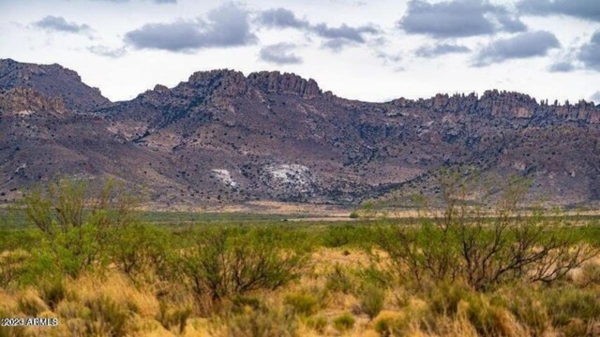 Picture of Residential Land For Sale in Portal, Arizona, United States