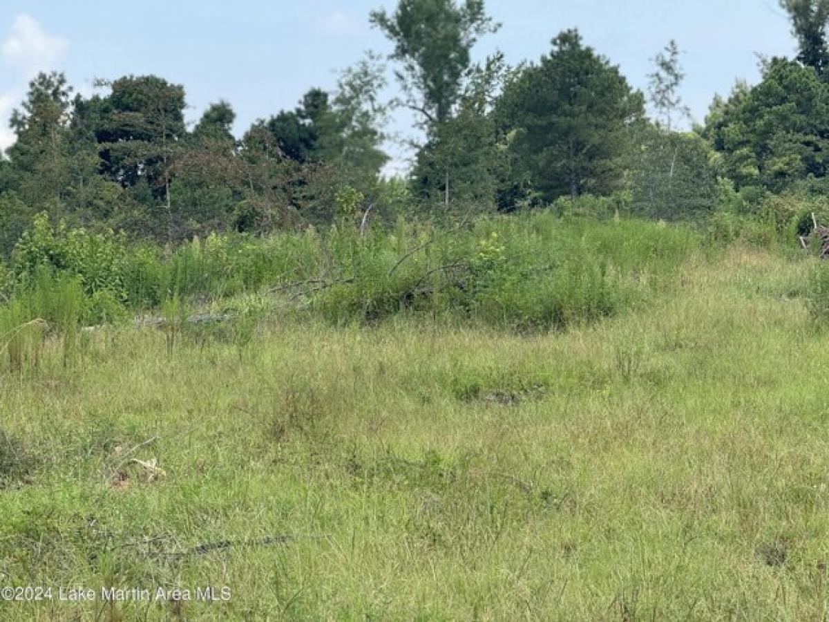 Picture of Residential Land For Sale in Goodwater, Alabama, United States