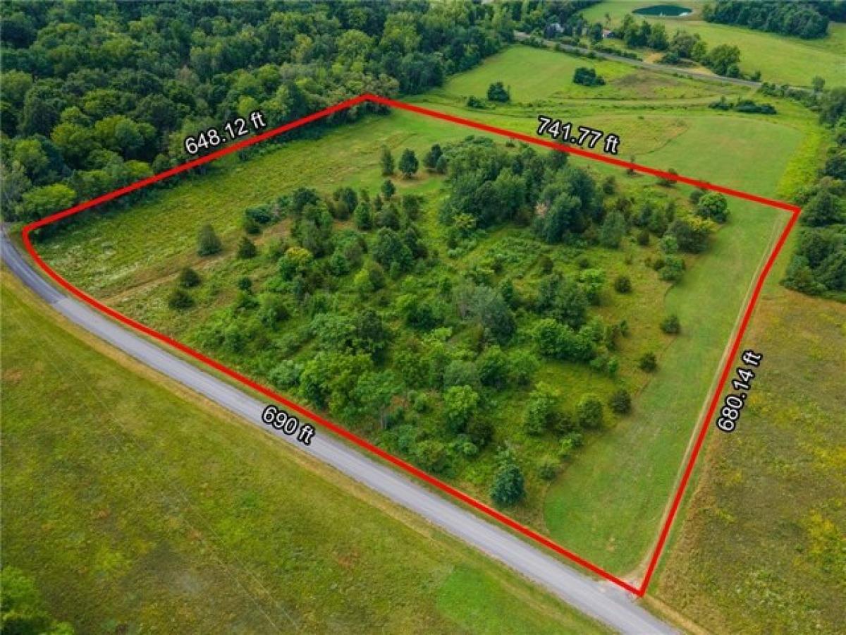 Picture of Residential Land For Sale in Hector, New York, United States