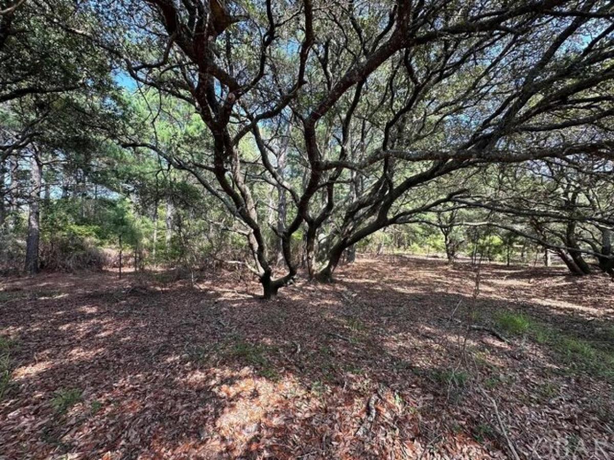 Picture of Residential Land For Sale in Corolla, North Carolina, United States