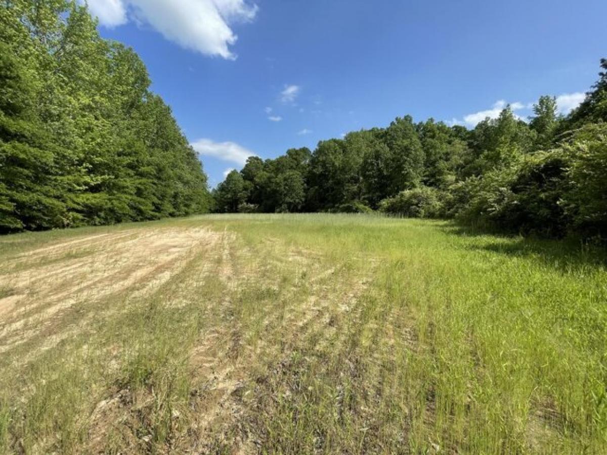 Picture of Residential Land For Sale in Golden, Mississippi, United States