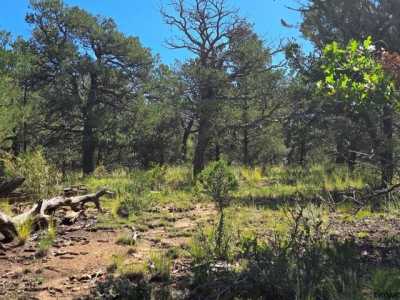 Residential Land For Sale in Cotopaxi, Colorado