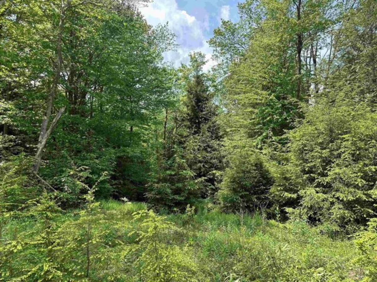 Picture of Residential Land For Sale in Davis, West Virginia, United States