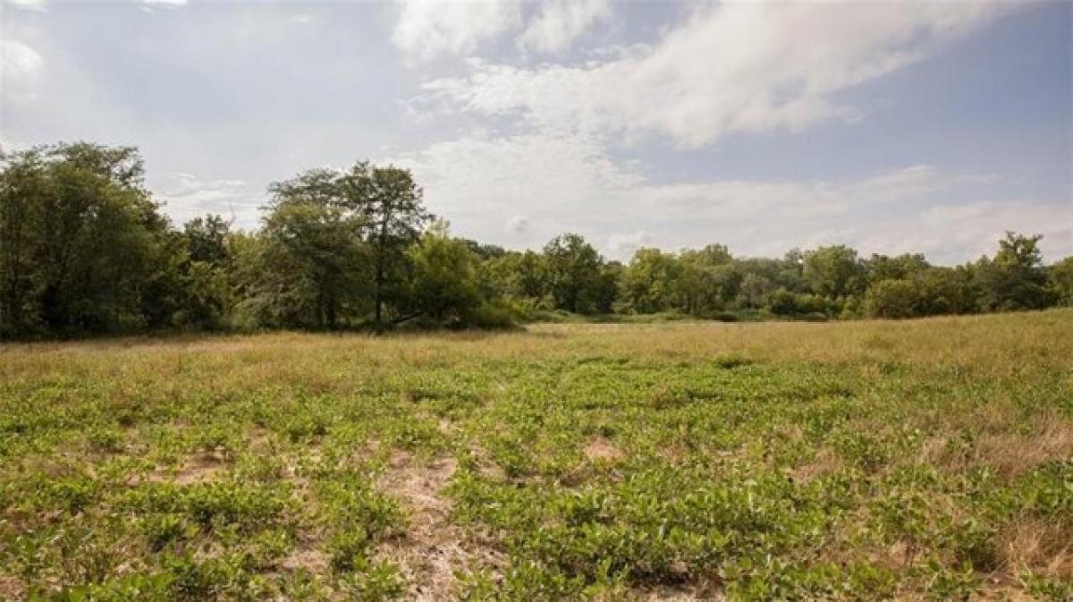 Picture of Residential Land For Sale in Moulton, Iowa, United States