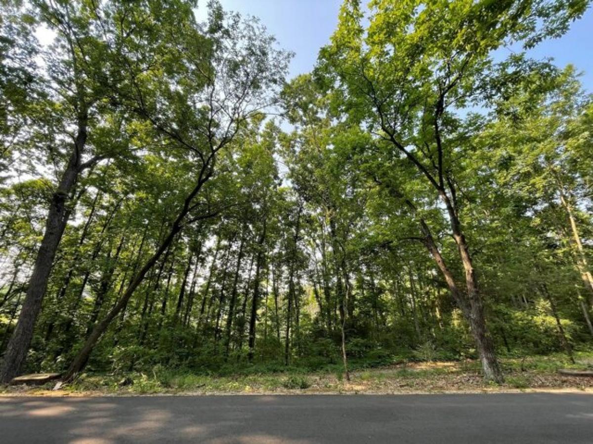 Picture of Residential Land For Sale in Kalamazoo, Michigan, United States