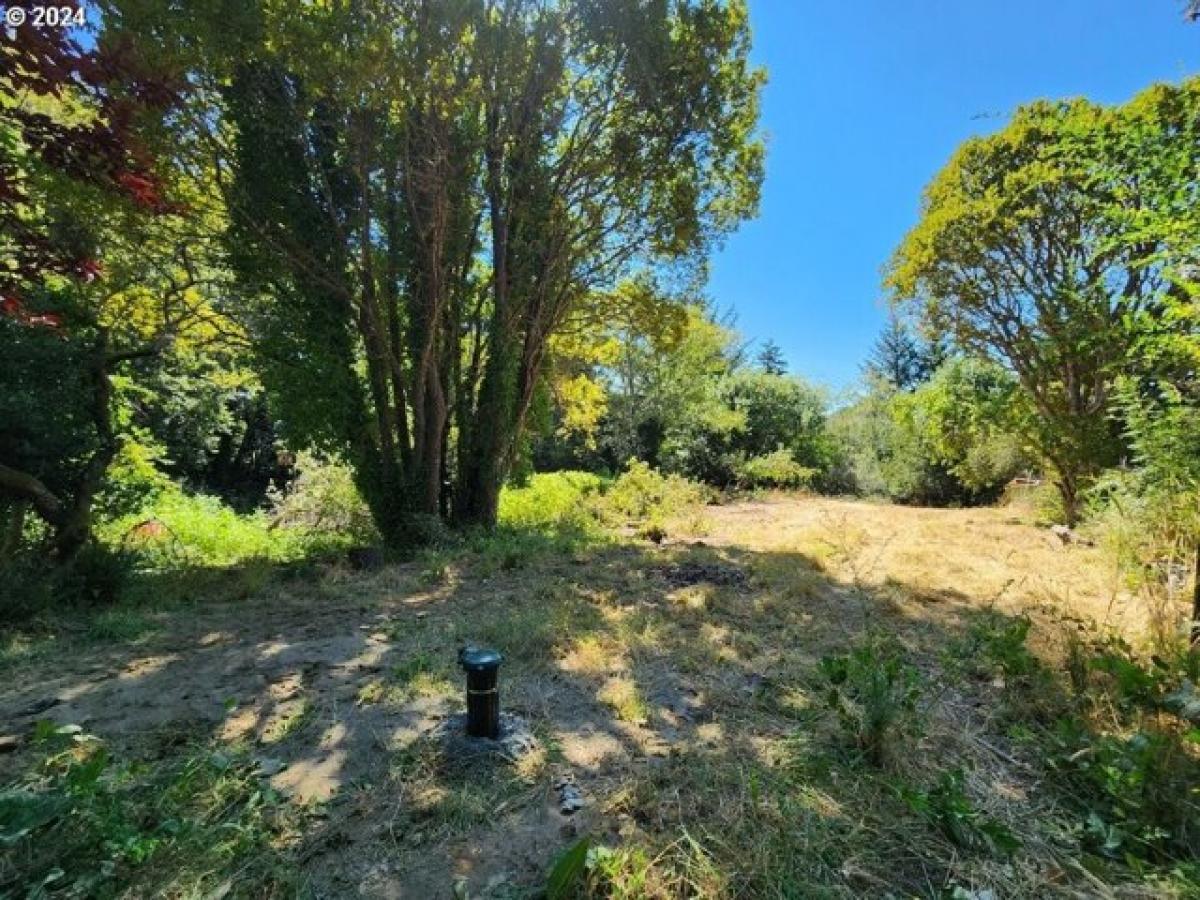 Picture of Residential Land For Sale in Port Orford, Oregon, United States