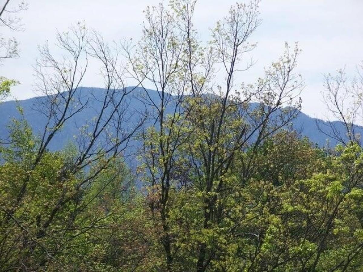 Picture of Residential Land For Sale in Gatlinburg, Tennessee, United States