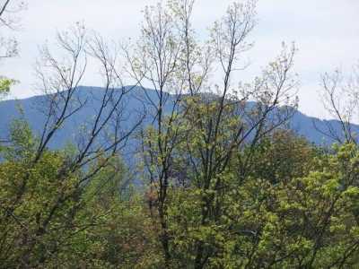 Residential Land For Sale in Gatlinburg, Tennessee