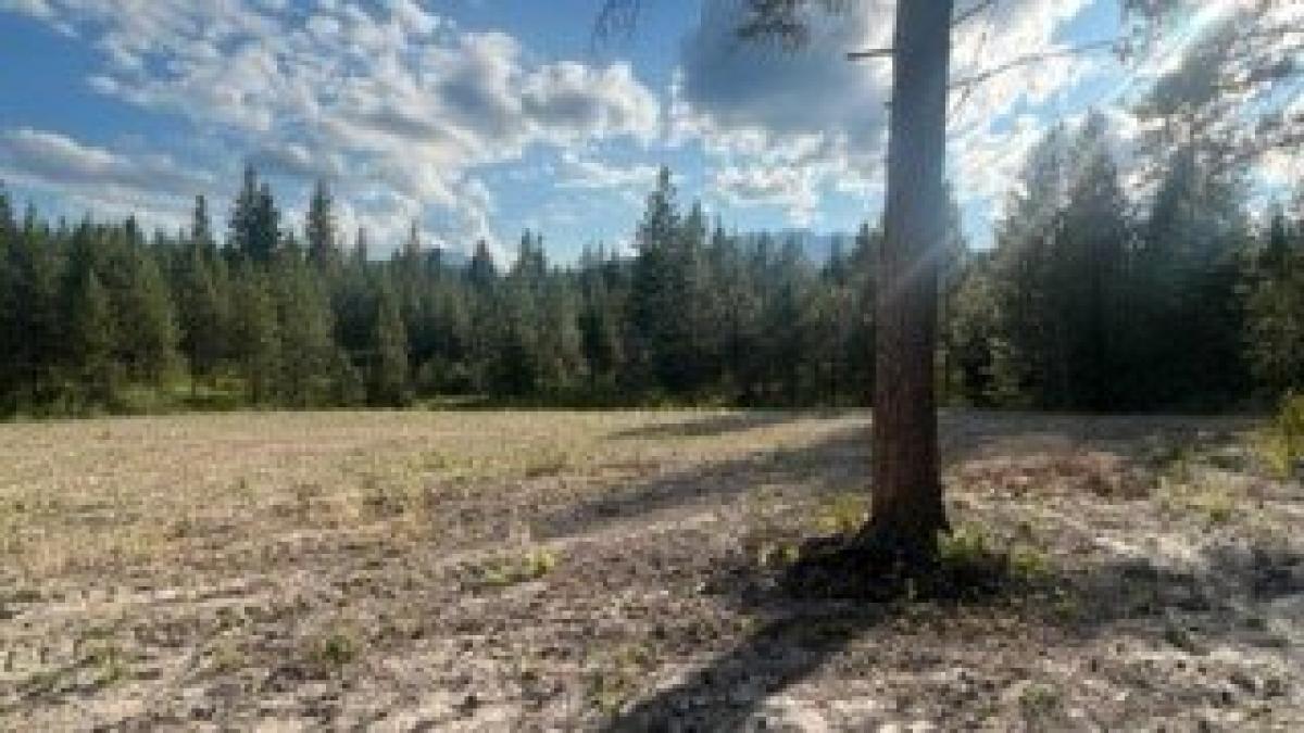 Picture of Residential Land For Sale in Libby, Montana, United States