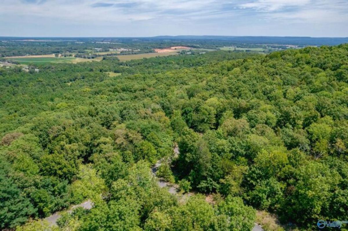 Picture of Residential Land For Sale in Huntsville, Alabama, United States