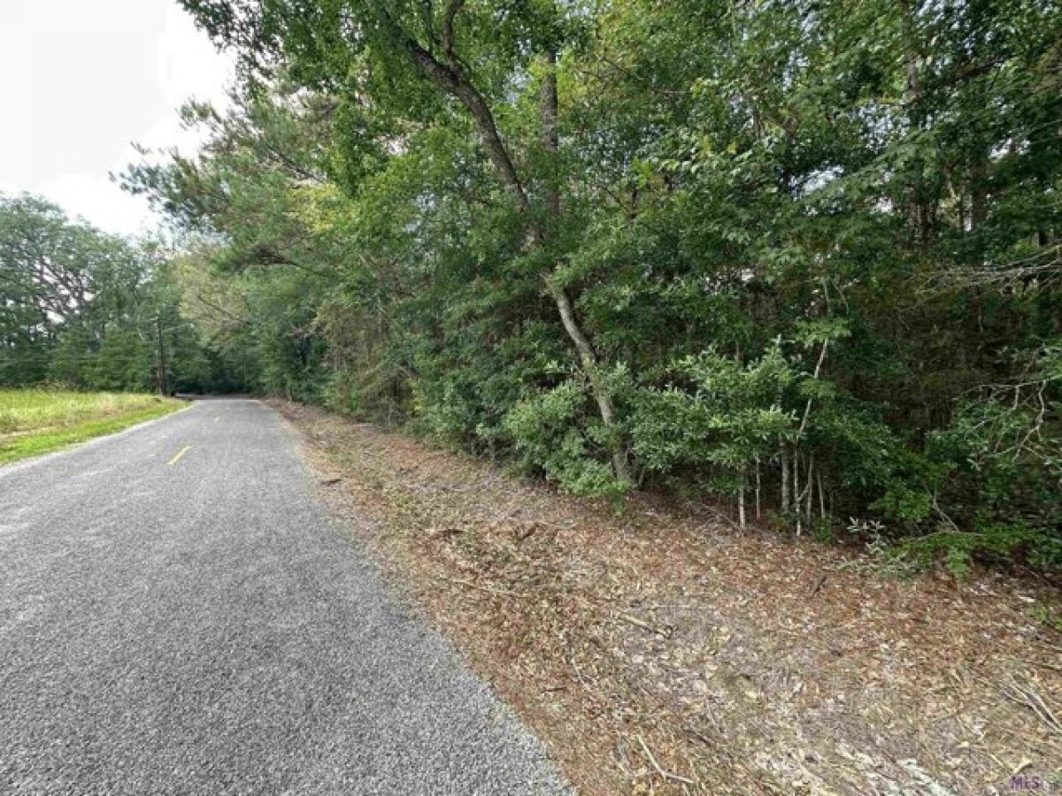 Picture of Residential Land For Sale in Robert, Louisiana, United States