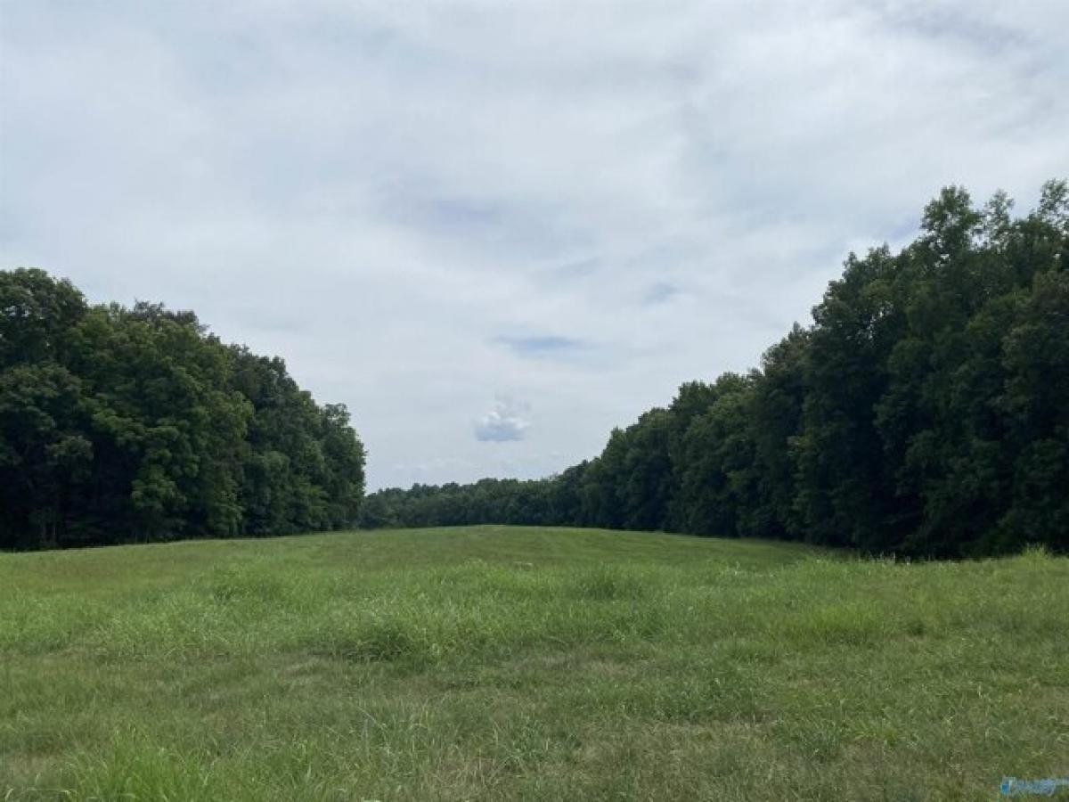 Picture of Residential Land For Sale in Athens, Alabama, United States