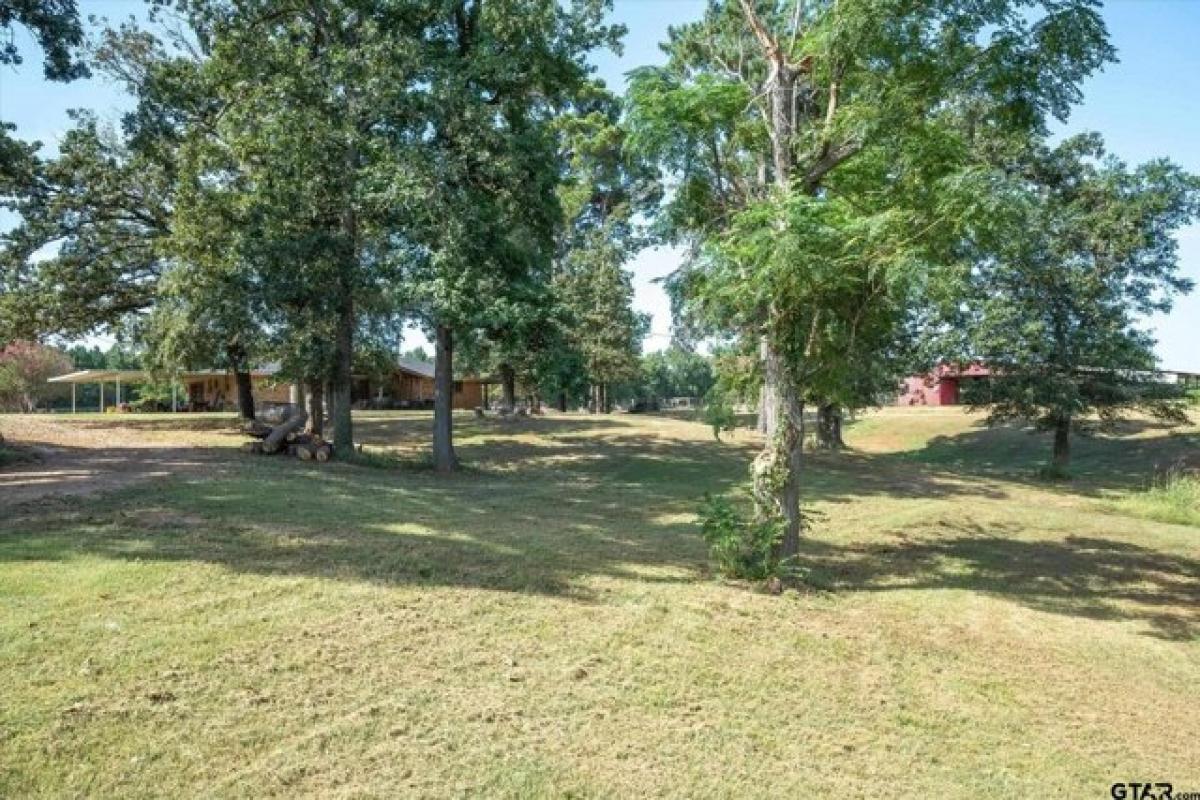 Picture of Residential Land For Sale in Winnsboro, Texas, United States