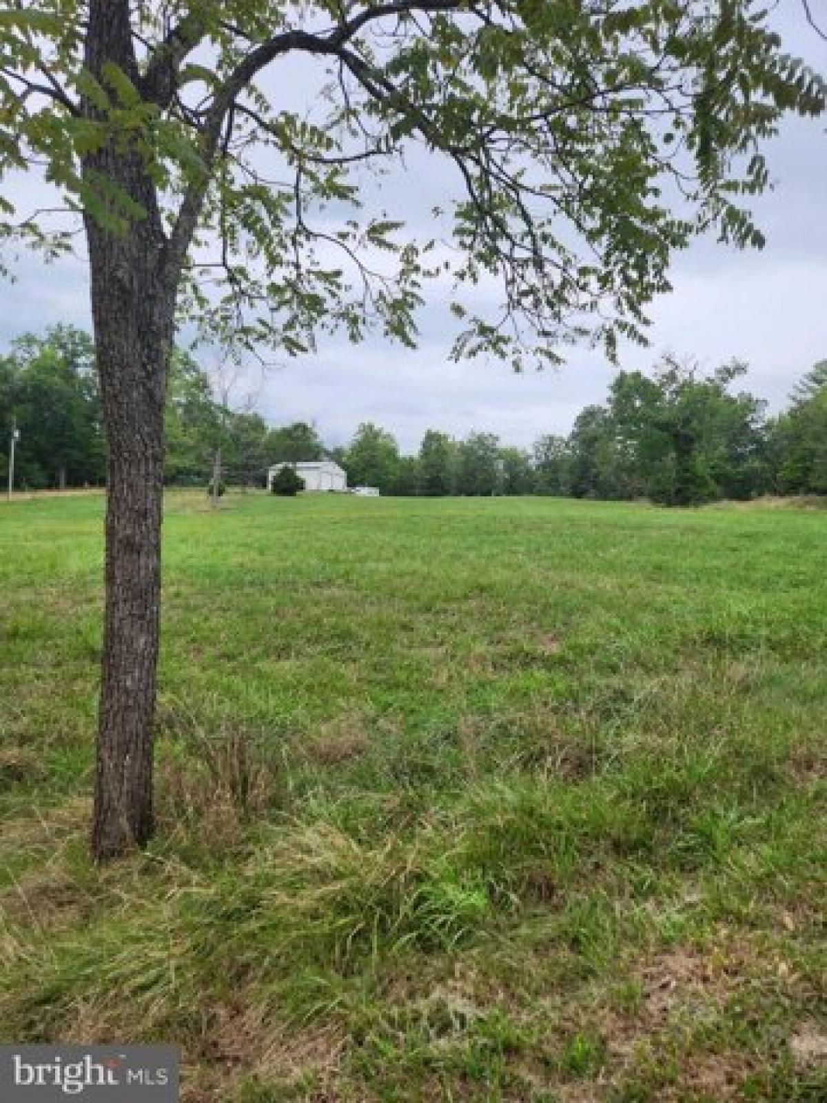 Picture of Residential Land For Sale in Edinburg, Virginia, United States