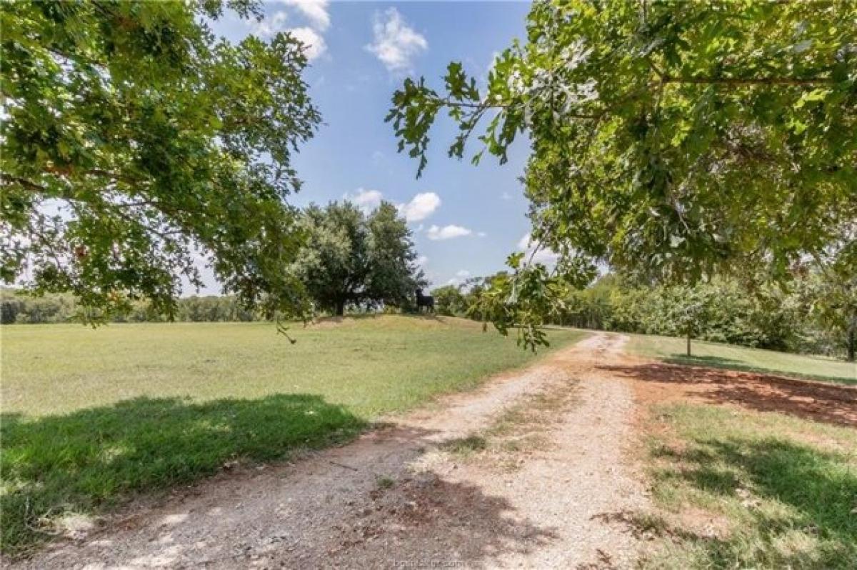 Picture of Residential Land For Sale in Hearne, Texas, United States