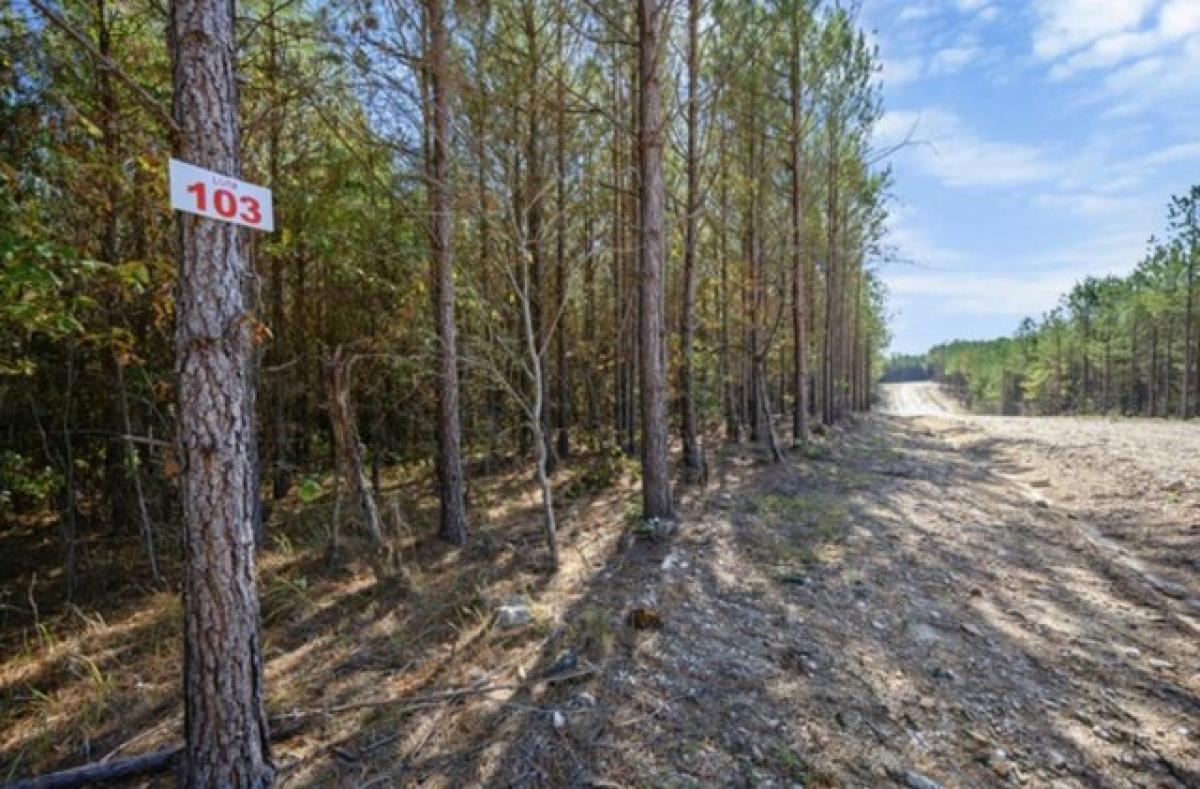 Picture of Residential Land For Sale in Broken Bow, Oklahoma, United States